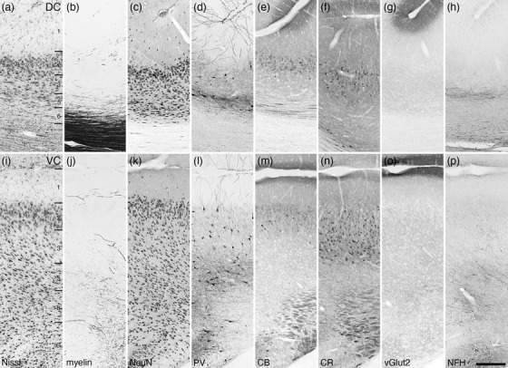 FIGURE 27