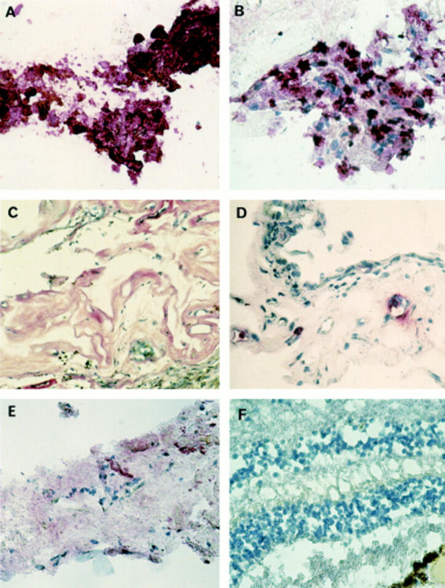 Figure 1  