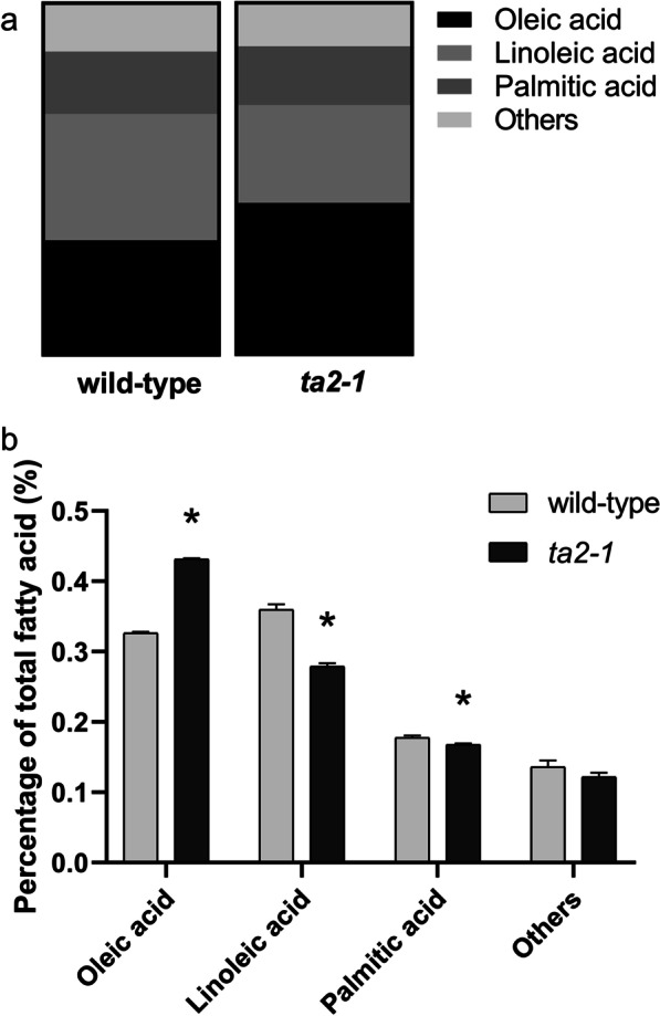 Fig. 12