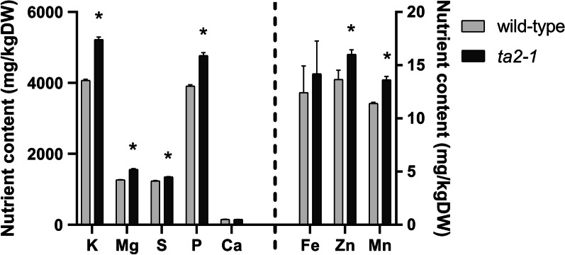 Fig. 10