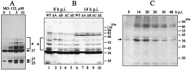 FIG. 6