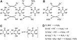 FIG. 6.