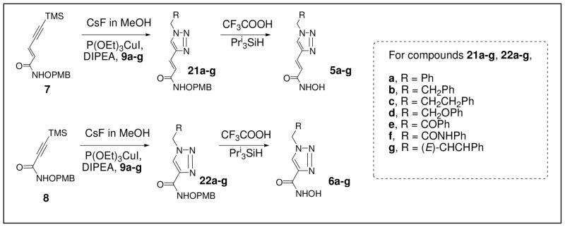 Scheme 4