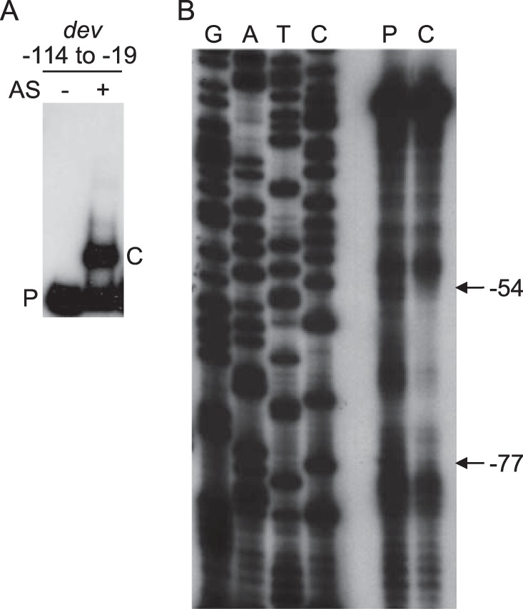 FIG 1