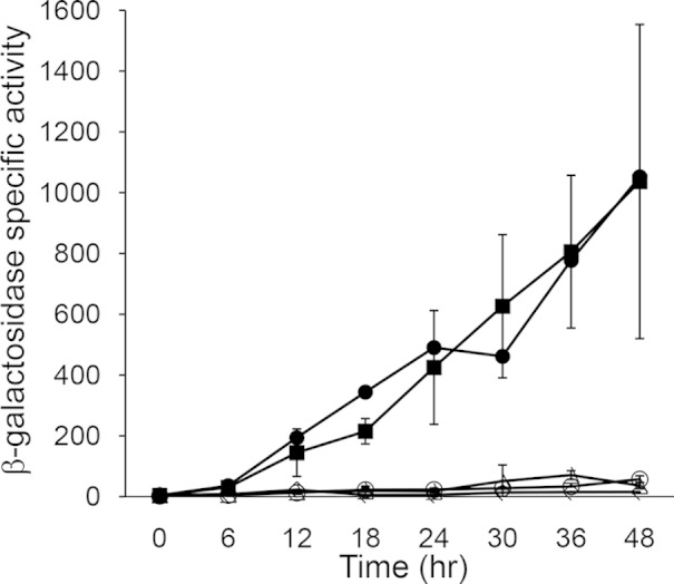 FIG 4