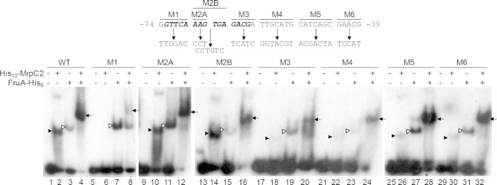 FIG 3