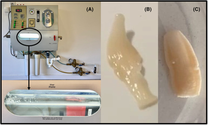 FIGURE 1