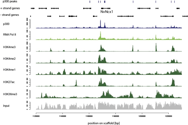 Figure 2.