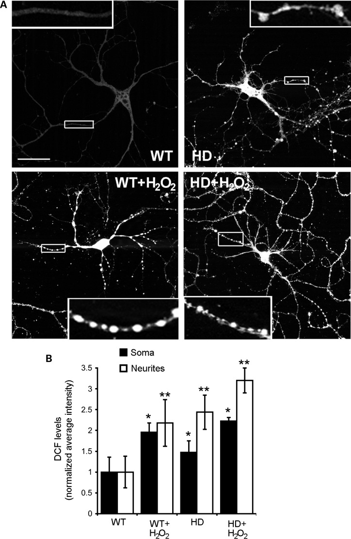 Figure 4.