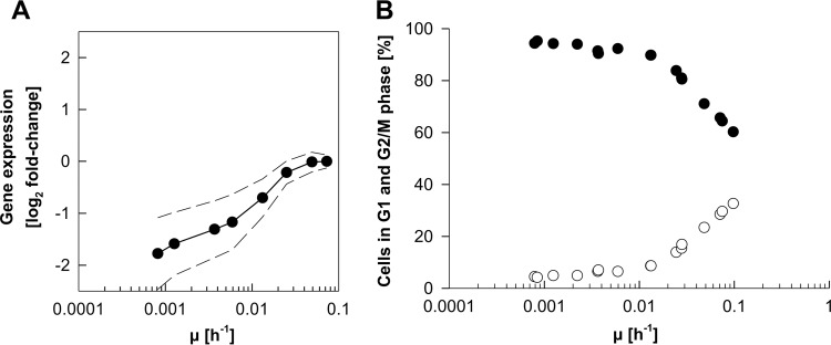 FIG 10