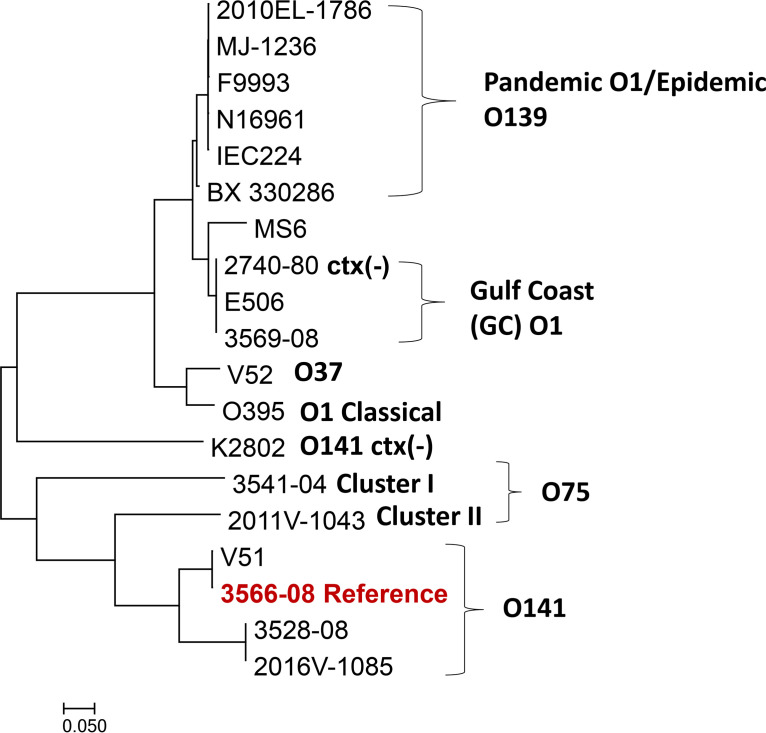 FIG 1