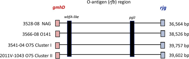 FIG 4