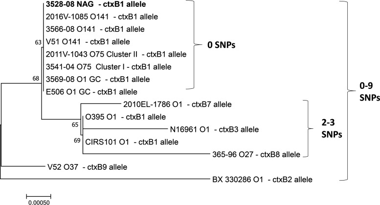 FIG 2