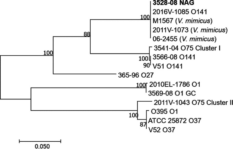 FIG 3