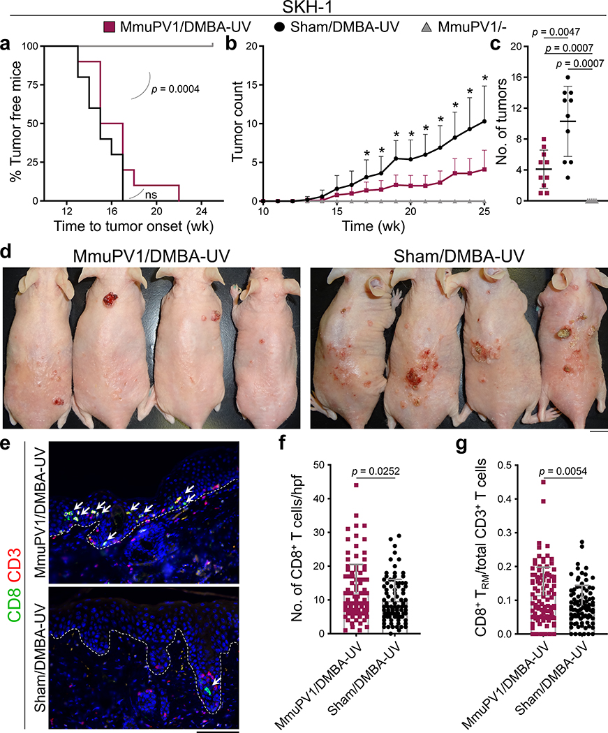 Fig. 2: