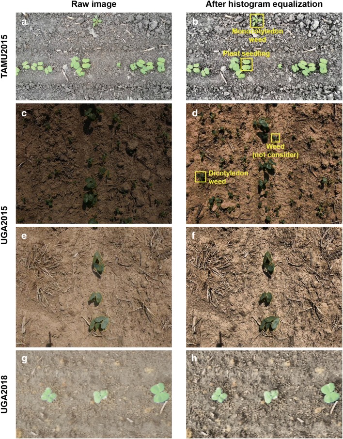 Fig. 8