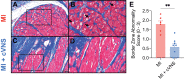 Figure 6