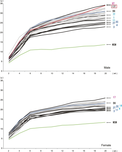 Figure 3.