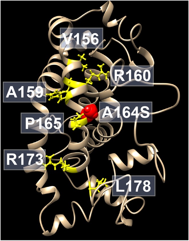 Fig 6