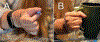 Fig. 11: