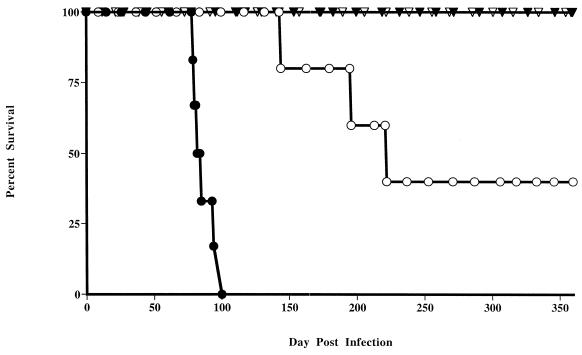 FIG. 5