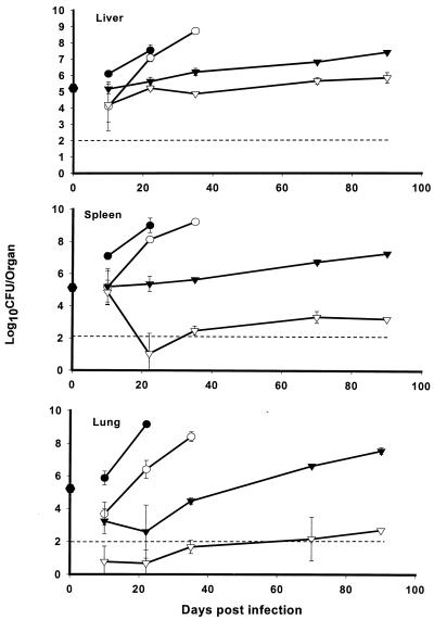 FIG. 3