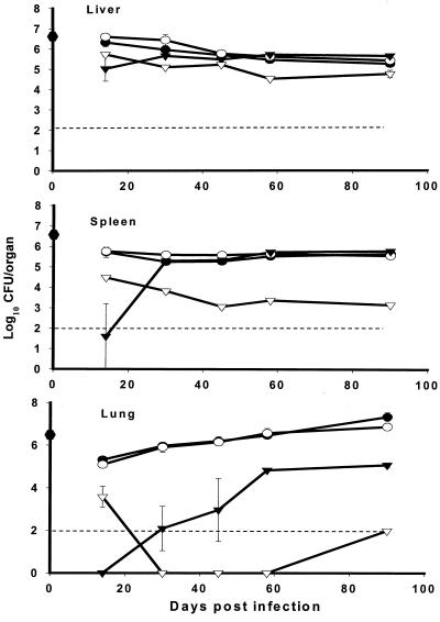 FIG. 6