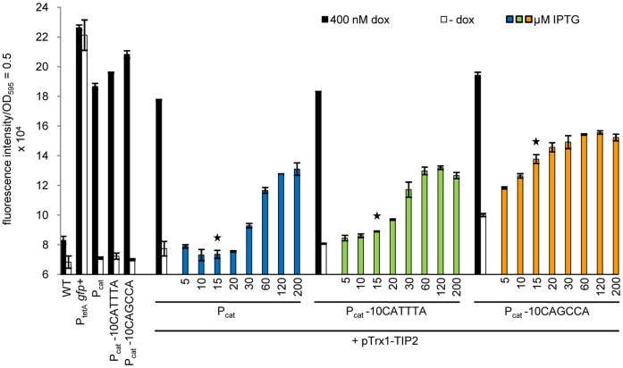 Figure 6