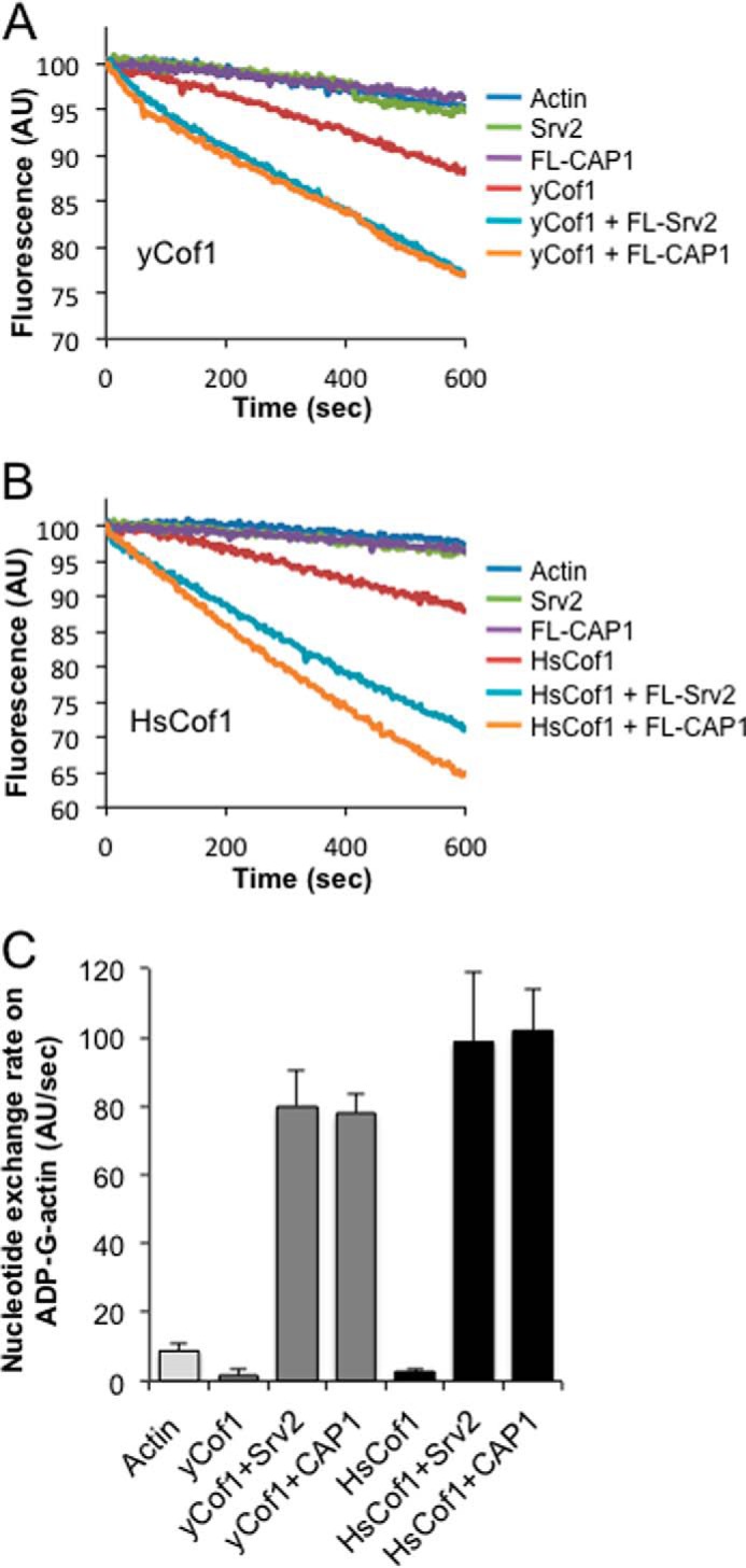 FIGURE 6.