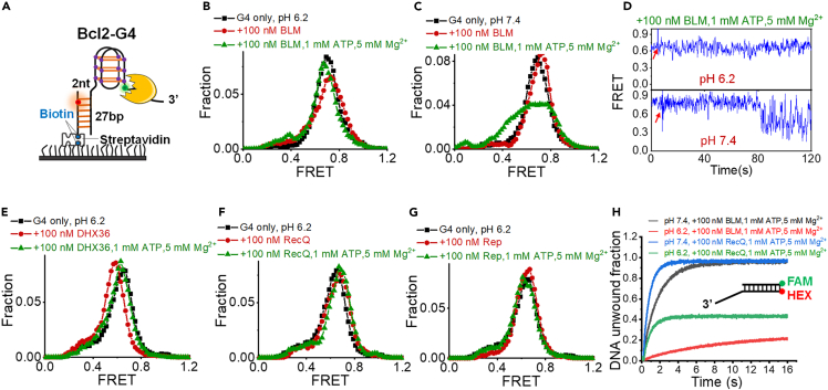 Figure 6