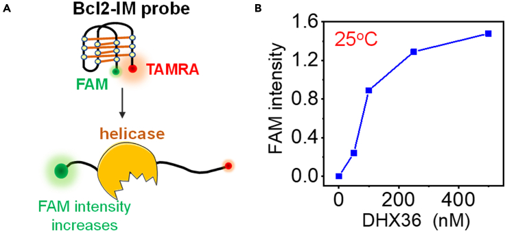 Figure 7