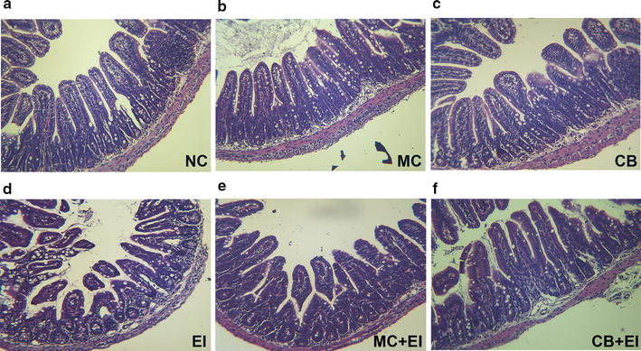 Fig. 5