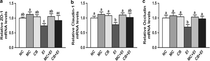 Fig. 6