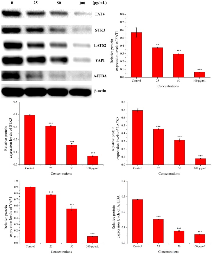 Figure 11