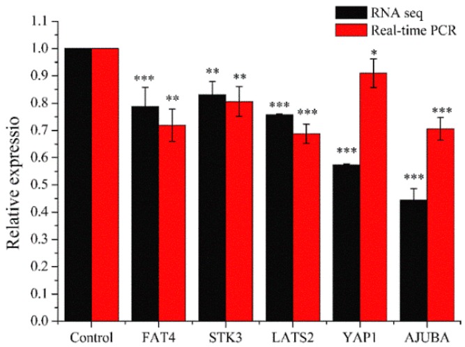 Figure 10