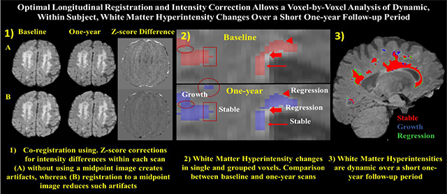 graphic file with name nihms-1717942-f0009.jpg