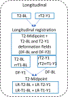 Fig. 5: