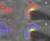 Fig. 7: