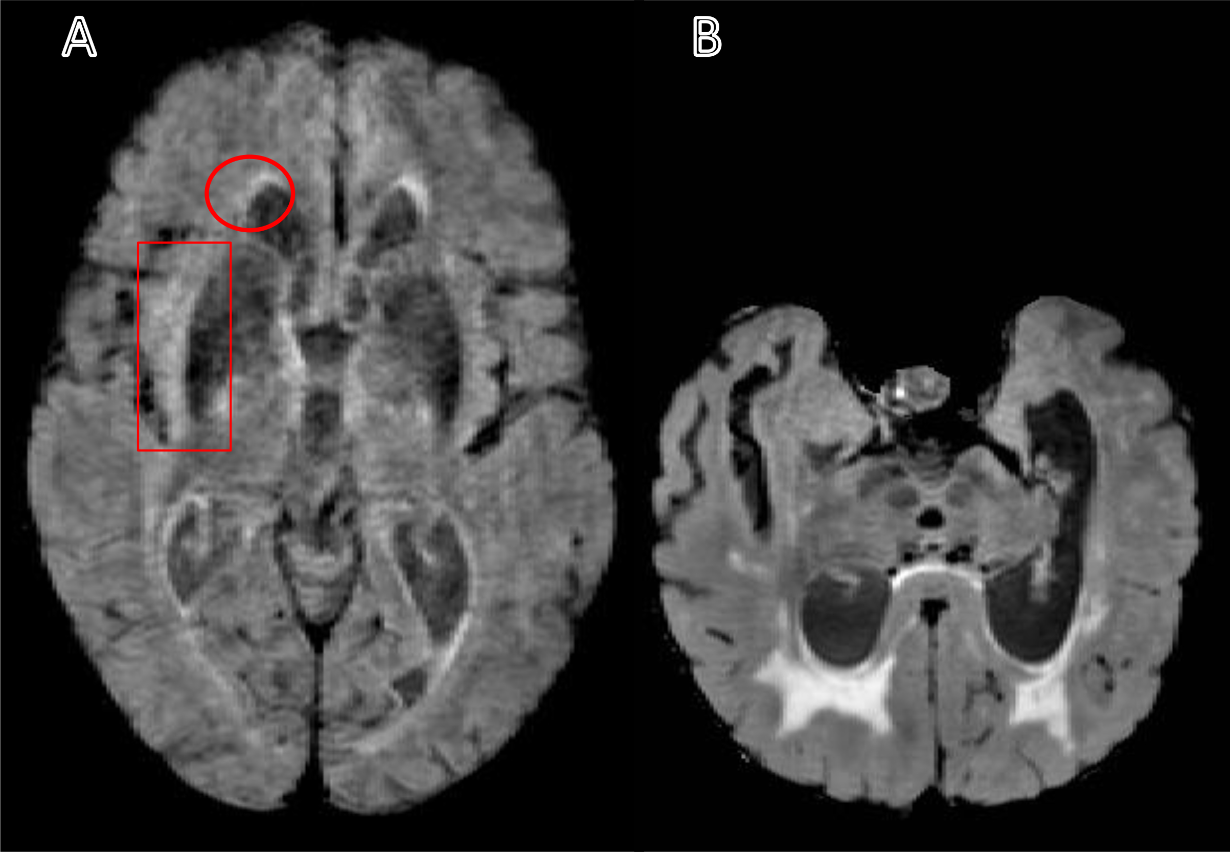 Fig. 1: