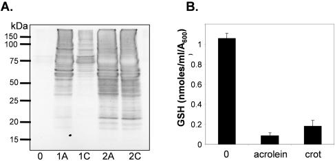 FIG. 5.