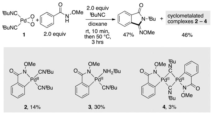 Scheme 5