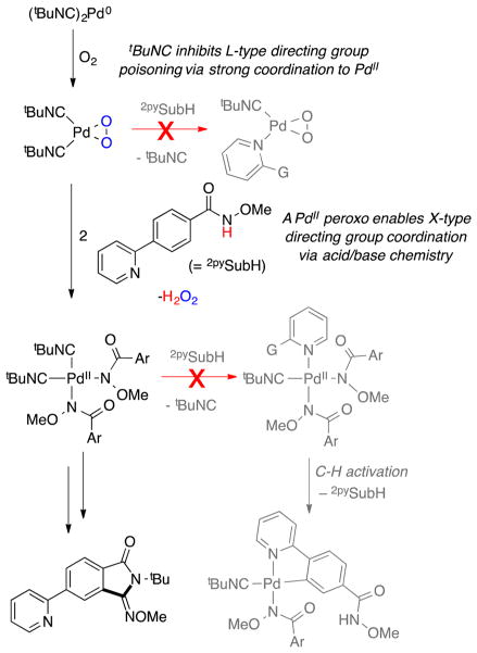 Scheme 7