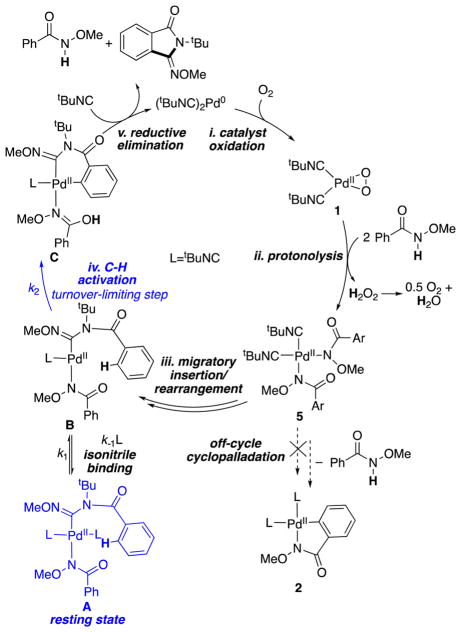 Scheme 6