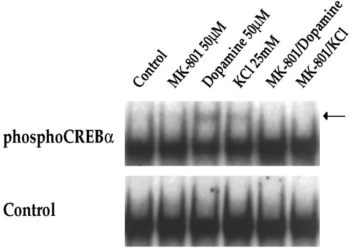 Fig. 10.