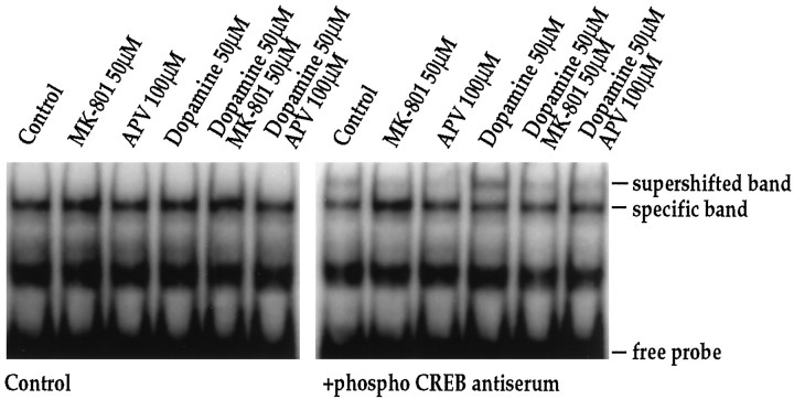 Fig. 9.