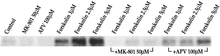 Fig. 11.