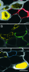 Figure 6.