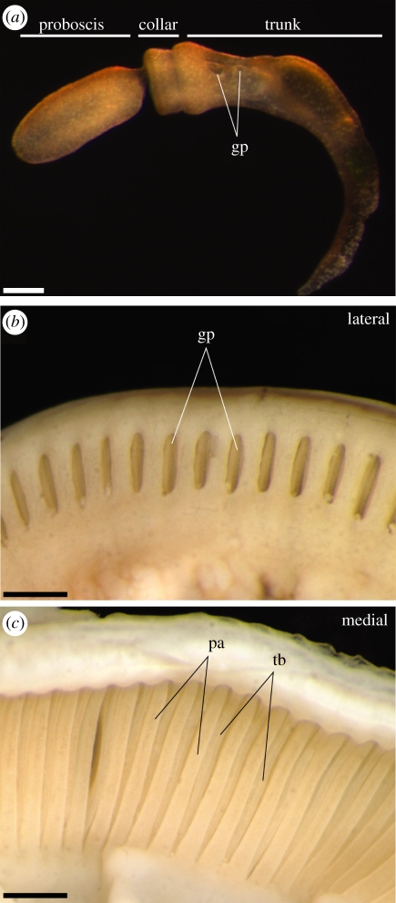 Figure 1.