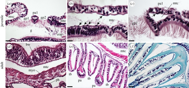 Figure 2.