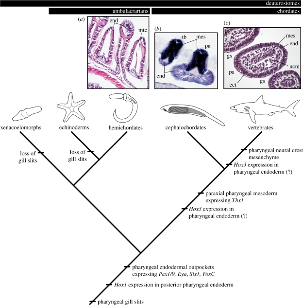 Figure 6.